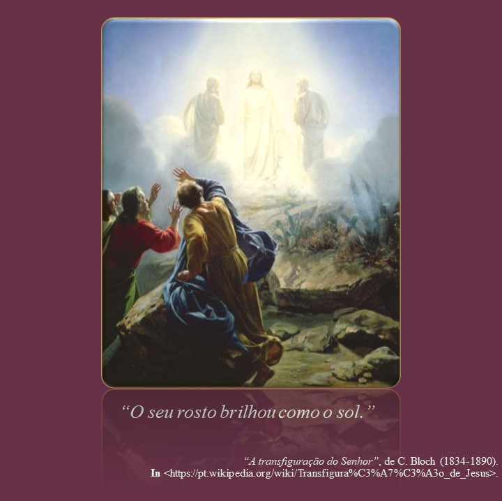 Evangelii Gaudium – Wikipédia, a enciclopédia livre